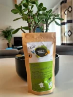 Graine de moringa – Image 4
