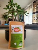 Poudre de baobab – Image 3